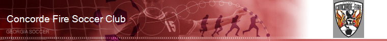 Georgia Soccer banner