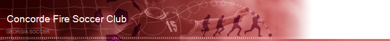 Georgia Soccer banner